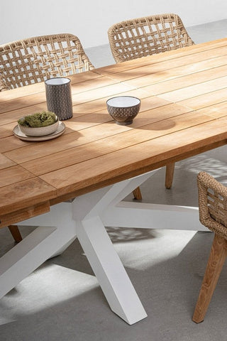 Bizzotto Homemotion STUHL MIT ARMLEHNEN MIT KISSEN MADISON N BadlyBitten