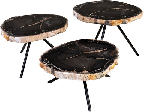 Petrified Wood Set of 3 Tables
