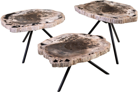 Petrified Wood Set of 3 Tables
