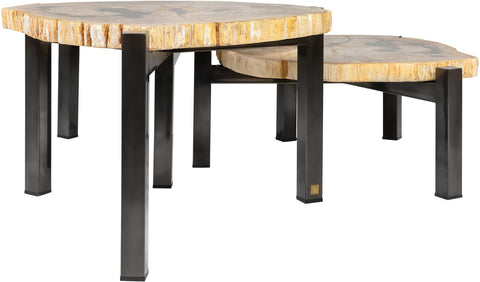 Petrified Wood Set of 3 Tables