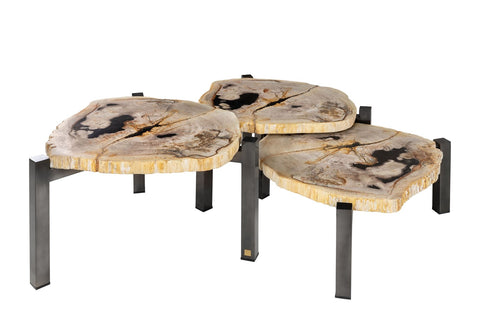 Petrified Wood Set of 3 Tables