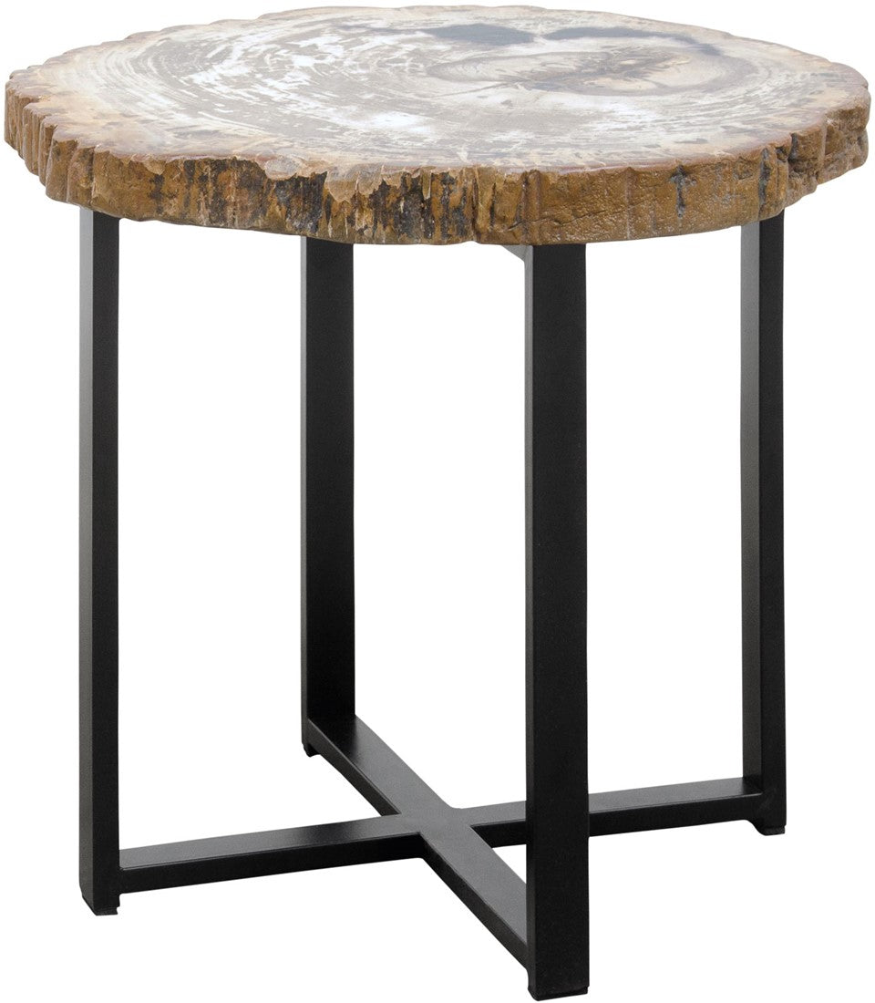 Petrified Wood Coffee Table