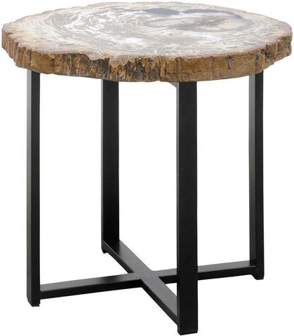 Petrified Wood Coffee Table