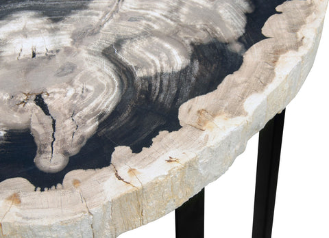 Petrified Wood Occ. Table