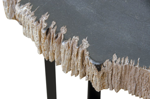 Petrified Wood Occ. Table