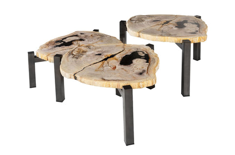 Petrified Wood Set of 3 Tables