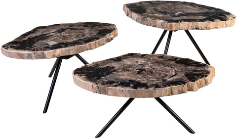 Petrified Wood Set of 3 Tables