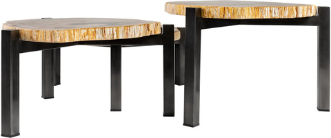 Petrified Wood Set of 3 Tables