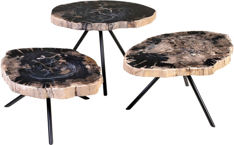 Petrified Wood Set of 3 Tables