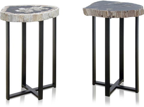 Petrified Wood Occ. Table