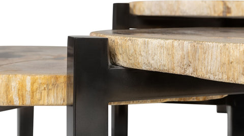 Missing Petrified Wood Set of 3 Tables