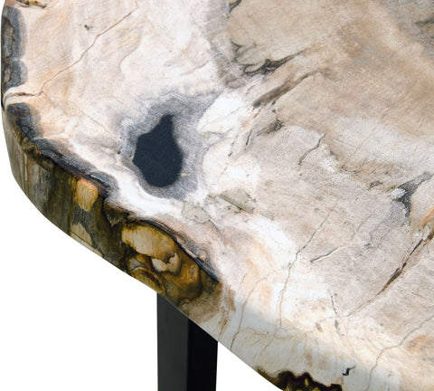 Missing Petrified Wood Occ. Table